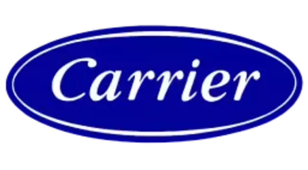 предохранитель !12A 600W пальчиковый\CARRIER VECTOR 22-01196-30