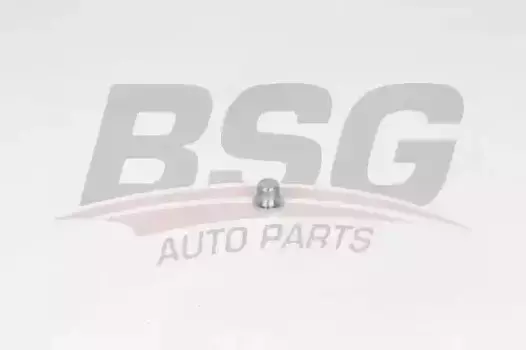 пробка поддона!\ Audi A4/A5/A6/A7/Q7,VW Polo 5/Amarok/Touareg/Phaeton 04> BSG 90-230-011 BSG