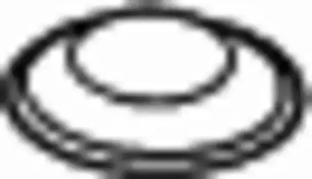 Прокладка глушителя BOSAL 256-049