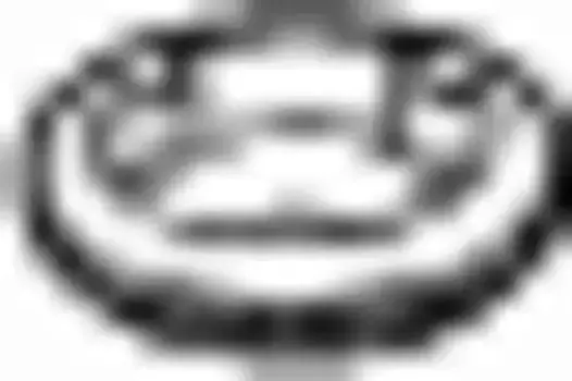 Прокладка глушителя BOSAL 256-904