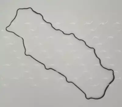 Прокладка клапанной крышки AUTOWELT RC-60002