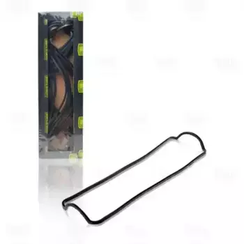 Прокладка клапанной крышки TRIALLI GZ 101 0312