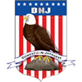 Прокладка коллектора DNJ EG4137