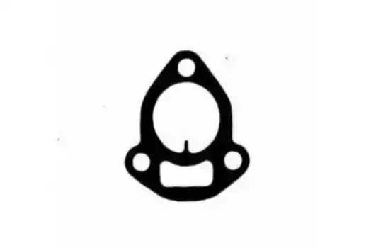 Прокладка коллектора PAYEN JC595