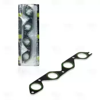 Прокладка коллектора TRIALLI GZ 102 0012