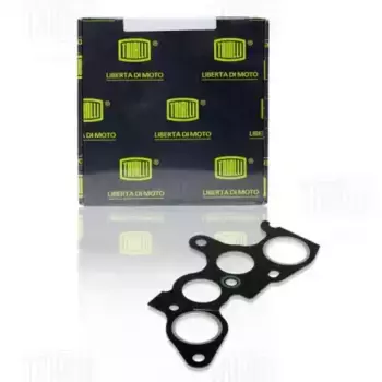 Прокладка коллектора TRIALLI GZ 102 0013