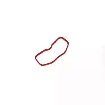 Прокладка коллектора VAG 079129717B