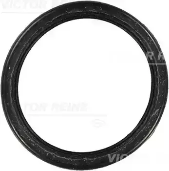 Прокладка коллектора VICTOR REINZ 71-24564-00