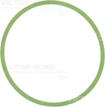 Прокладка коллектора VICTOR REINZ 71-40513-00