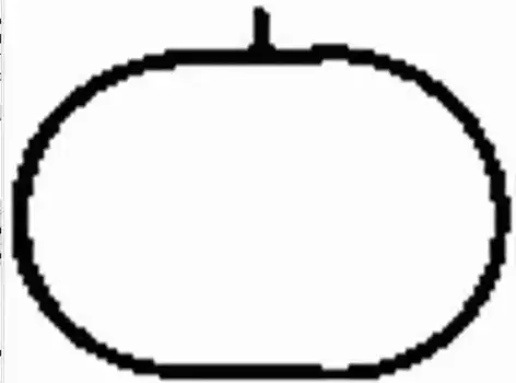 Прокладка коллектора BGA MG5790