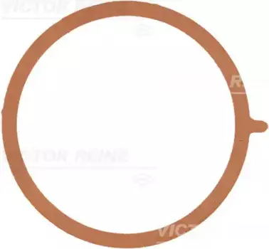 Прокладка коллектора VICTOR REINZ 71-38953-00