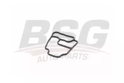 прокладка корпуса масляного фильтра!\ BMW E34/36/46/36/60/53/83/85 2.0-3.0i 90> BSG 15-116-008 BSG