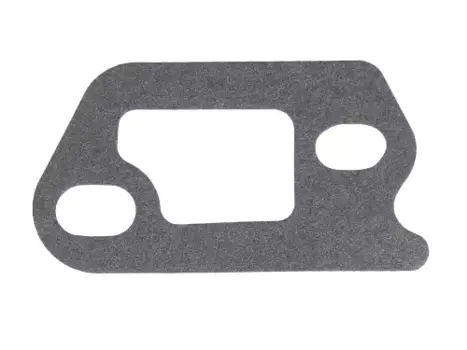 прокладка помпы !4x \DAF 95 XF