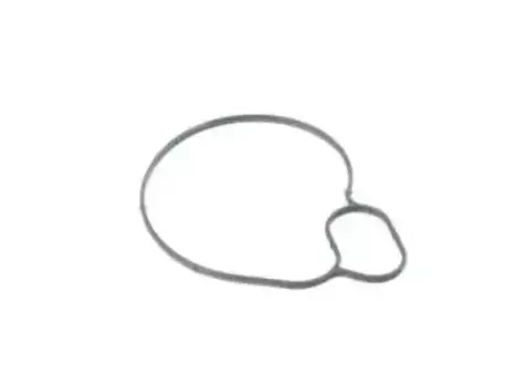 прокладка помпы!\ BMW F07/F10/G30 5.0i all 11 51 7 549 445