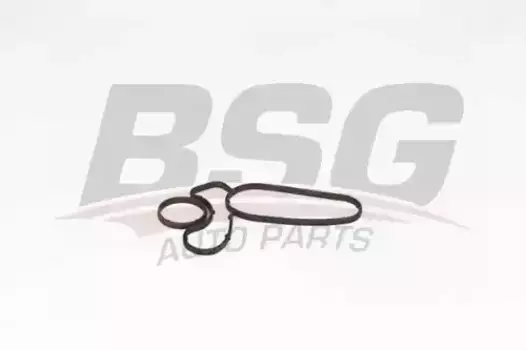 прокладка профильная!\ BMW all BSG 15-116-021 BSG