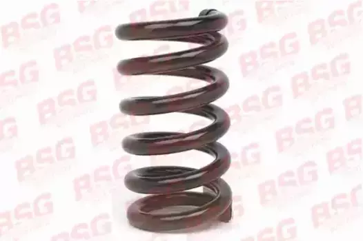 пружина пер.!\ Ford Transit 190EF/130 Bus/150L Bus/190 Bus 2.5D 91-00 BSG 30-305-002 BSG