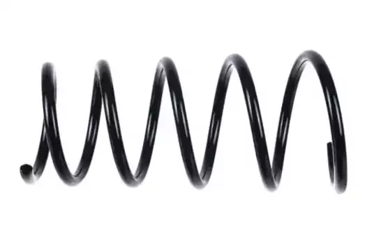 пружина передняя! 40 170 02\ Renault Sandero 1.2 16V/1.4/1.6 08> Z38109 ZENTPARTS