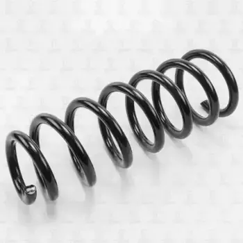 Пружина передняя DF0116 TORR