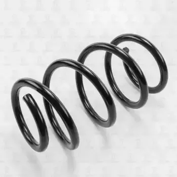 пружина передняя!\Fiat Ducato 06> DF0141 TORR