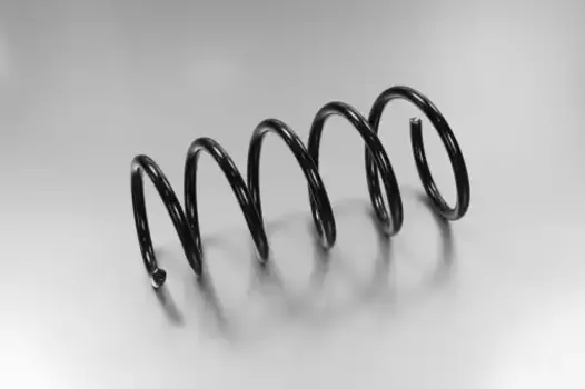 пружина передняя!\ Renault Sandero 1.2 16V/1.4/1.6 08> SPR17011 FENOX