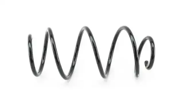 Пружина подвески передней AW6R004110105AD DOMINANT