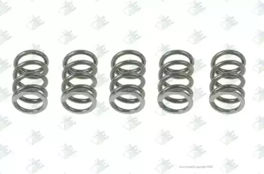 пружина !прижимная 1.25x8x15 \MAN 56170491 EURORICAMBI