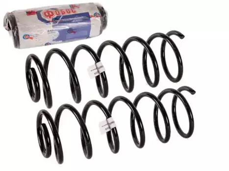 Пружина шт 25310 FOBOS