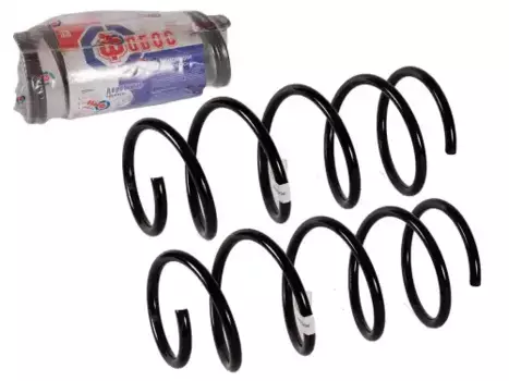 Пружина шт 55137 FOBOS