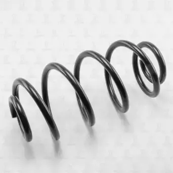 пружина задняя!\ Chevrolet Aveo 4-doors 03/11> DF0137 TORR