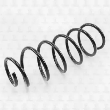 пружина задняя!\ Ford Mondeo 00> DF0139 TORR