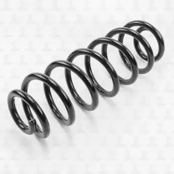 пружина задняя!\ VW Passat/Tiguan 05> DF0152 TORR