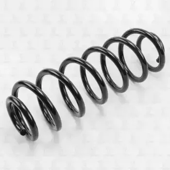 пружина задняя!\ VW Passat/Tiguan 05> DF0131 TORR