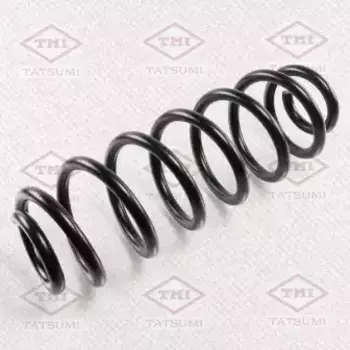 пружина задняя!\ VW Passat/Tiguan 05> TAE1017 TATSUMI