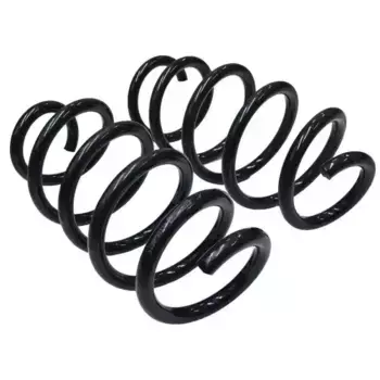 ПРУЖИНА ЗАДНЯЯ 42115-001R FEBEST