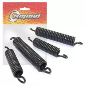 Пружины барабанных тормозных колодок RIGINAL RG2101-3501000