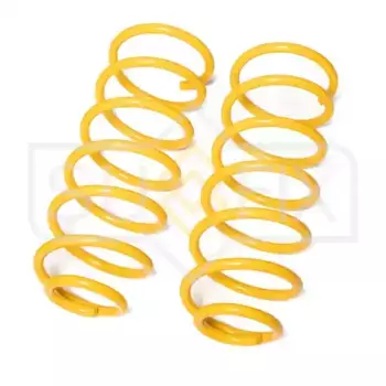 Пружины подвески перед прав/лев SZ-2829 SUFIX