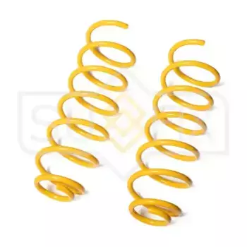 Пружины подвески зад прав/лев LCV SZ-1271 SUFIX