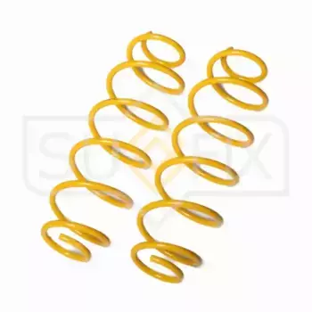 Пружины подвески зад прав/лев SZ-1486 SUFIX