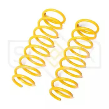 Пружины подвески задние SZ-2910 SUFIX