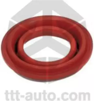 пыльник !Z кулачка\ Volvo F10/FM12/NL 15084 TTT