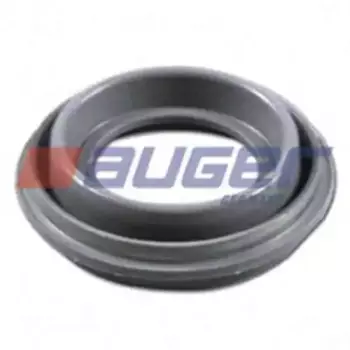 пыльники! Z кулачка \Volvo F 53961 AUGER