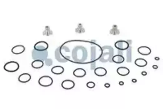 р/к блока клапанов ELC! \Omn Volvo B7/10/12 6014040 COJALI