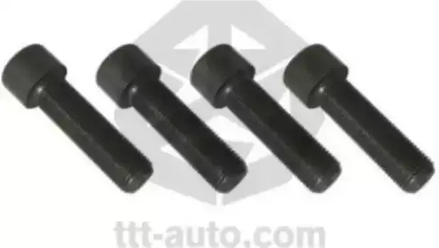 р/к диcкового тормоза! 4(м) к-т болтов крышки суппорта M16x1.5x55 \ Meritor ELSA 1/D3 17590 TTT