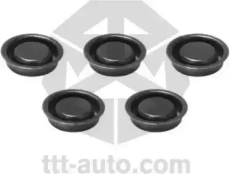 р/к диcкового тормоза! 5(п) к-т заглушек BPW\ TSB 3709/4309/4312 19057 TTT