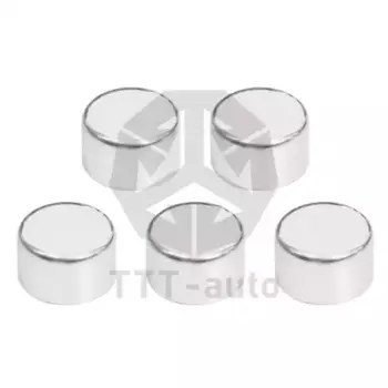 р/к дискового тормоза !5(м) крышки 40x24.5мм 5шт.\ KNORR SN6/SN7/SK7 15733 TTT