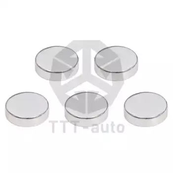 р/к дискового тормоза! 5(м) заглушки Knorr\ SN 6/7 14539 TTT