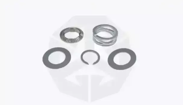 р/к дискового тормоза! 5(мр) к-кт шестерен и пружин мех. регулир. суппорта BPW \TS2 3709/4309 19725 TTT