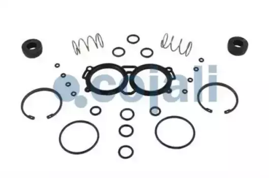 р/к модулятора EBS K020023N50 !(пружины,манжеты резин,упл.кольца,стопорные кольца)\VOLVO,RVI 6014113 COJALI