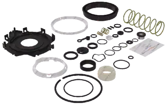 р/к ПГУ сцепления !(мрп) крышка, пружины, уплотнения, прокладки \Omn MAN TGA, Lions RK.02.048 YUMAK