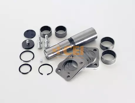 р/к шкворней !(мр) на сторону с подш 43x57.7x227\Iveco EUROCARGO/TECH/STAR/TRAKKER 230.020 CEI